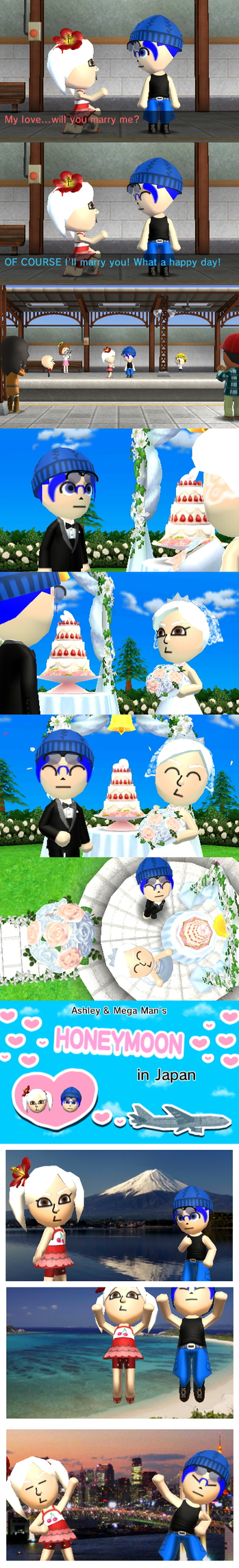Tomodachi life wedding glitch